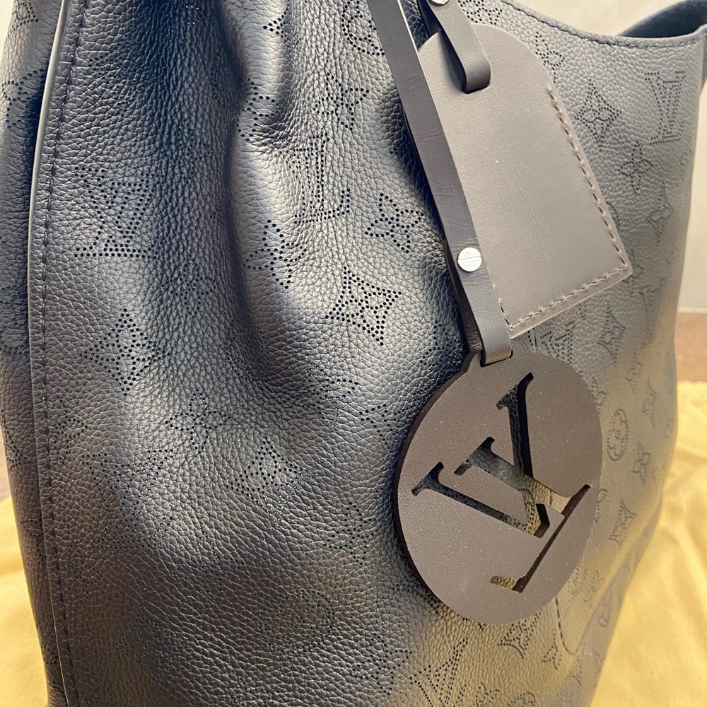 LV Carmel Hobo Bag